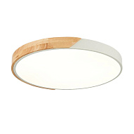 SLE200952-01 Светильник потолочный Белый, Светлое дерево/Белый LED 1*45W 3000K/4000K/6000K ФЕСТА 500_191_2954737